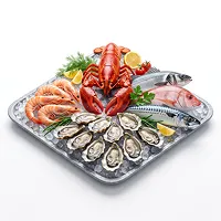 Transporte de mariscos — carga perecedera refrigerada y logística de exportación con Alkeex forwarder